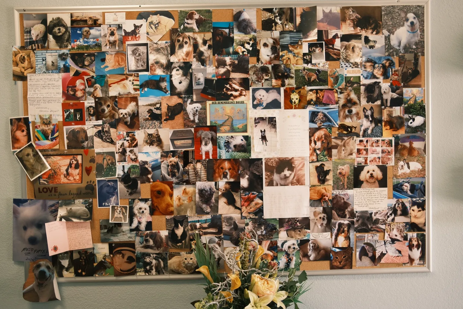 Pet Passages Largo remembrance Wall of Fame filled with beloved pets